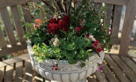 人気ガーデナー伊藤きみえさんの寄せ植え教室