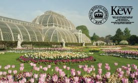 キュー・ガーデンPOP UP STORE