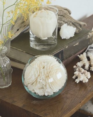 【SOLA FLOWER】POP UP STORE