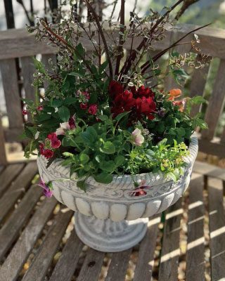 人気ガーデナー伊藤きみえさんの寄せ植え教室