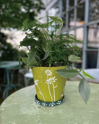 観葉植物の寄せ植え＆チョークペイントワークショップ